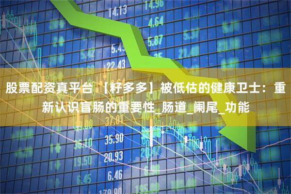 股票配资真平台 【籽多多】被低估的健康卫士：重新认识盲肠的重要性_肠道_阑尾_功能